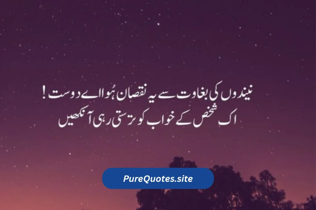 Good Night Quote in Urdu