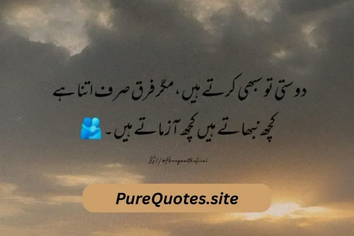 10+Friendship Poetry In Urdu 2 lines