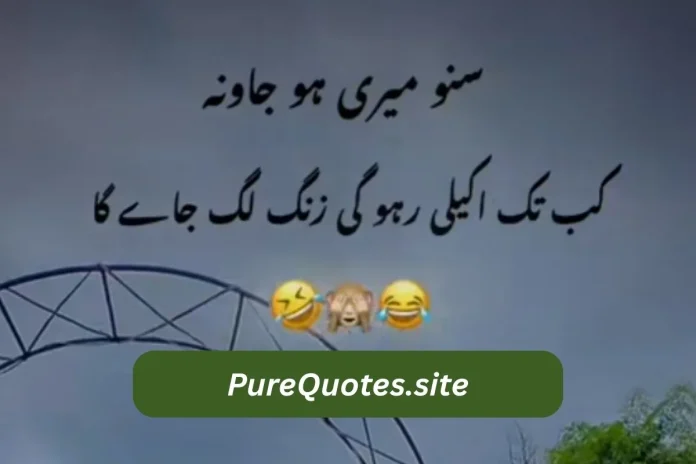 Funny poetry in urdu